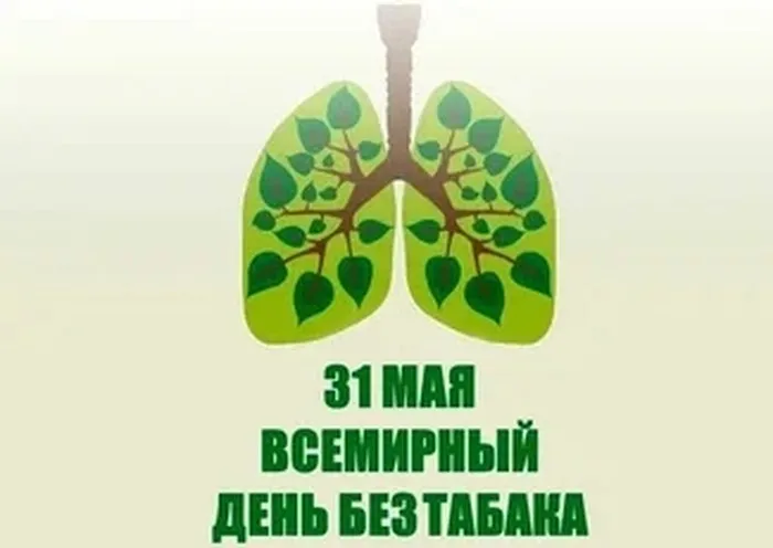 zOH784RvVxCGi-BrMapTcxxg2ilsQIE_cOebAoY9S5zYyerZk3s-Z4PGKLt5MuMFSQfyEDRjGcsTT22vA82FQRdp